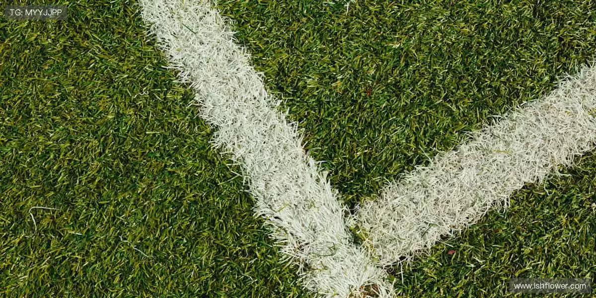 🏆见证荣耀时刻,热血永不落幕!🔥